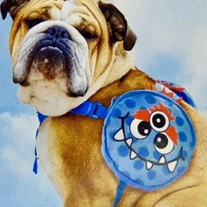 NWT Outward Hound Backpack and Harness for Dogs